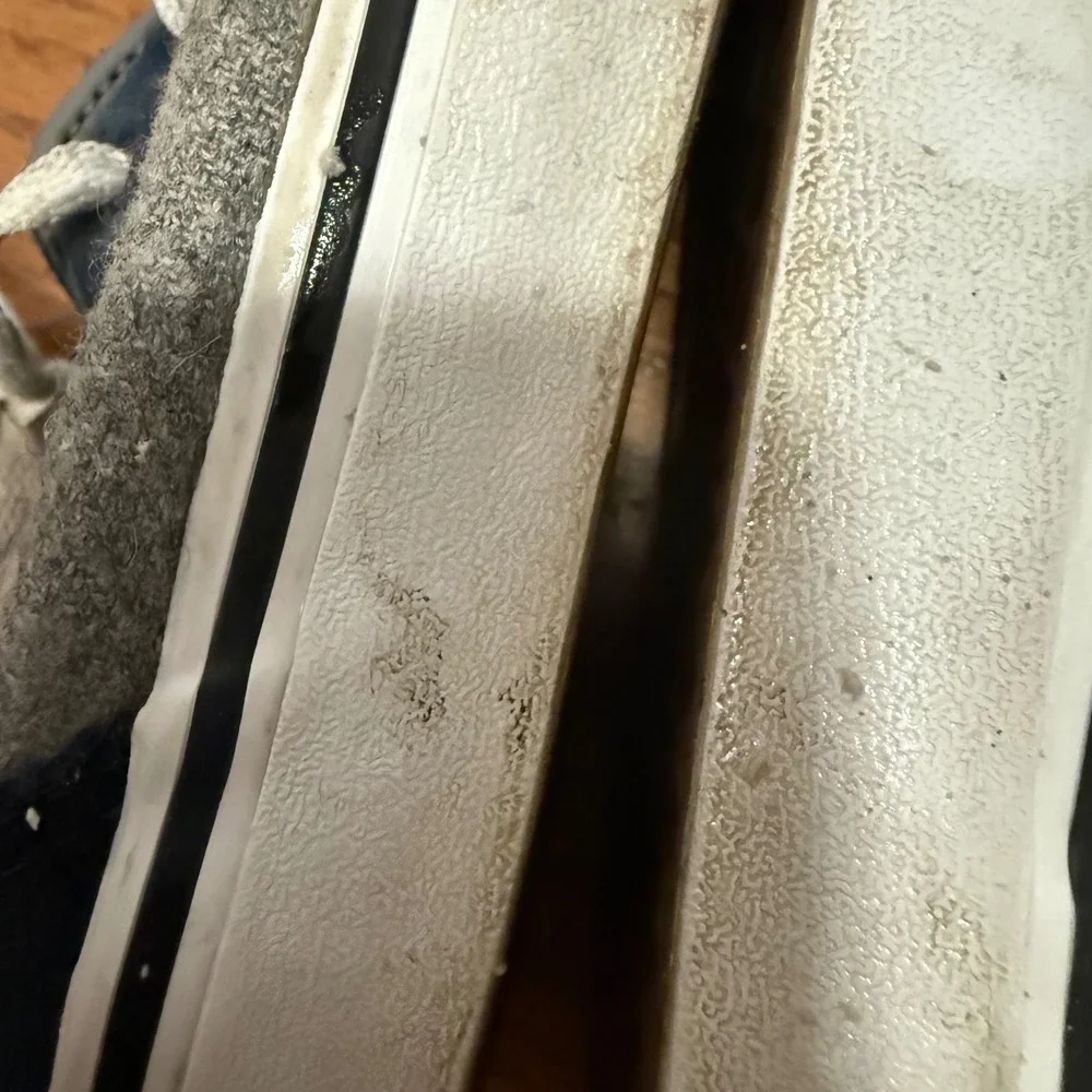 Vans iconic skate